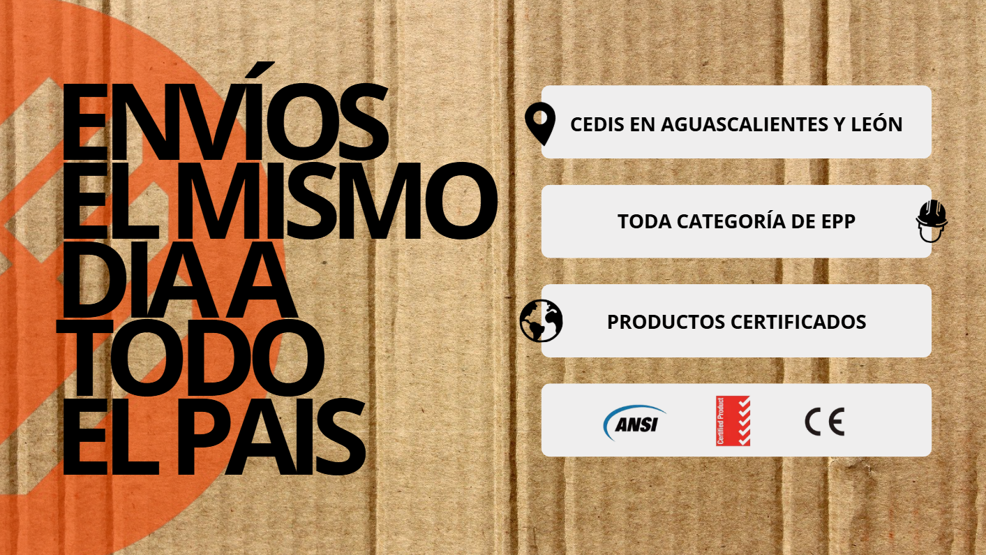 protegga envio mismo dia